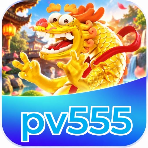 pv555 System Requirements