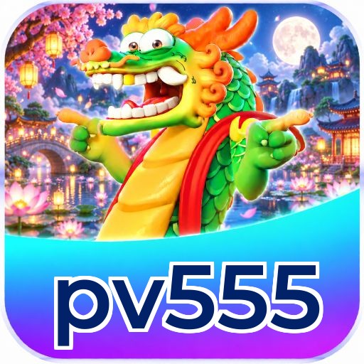 pv555 Interface