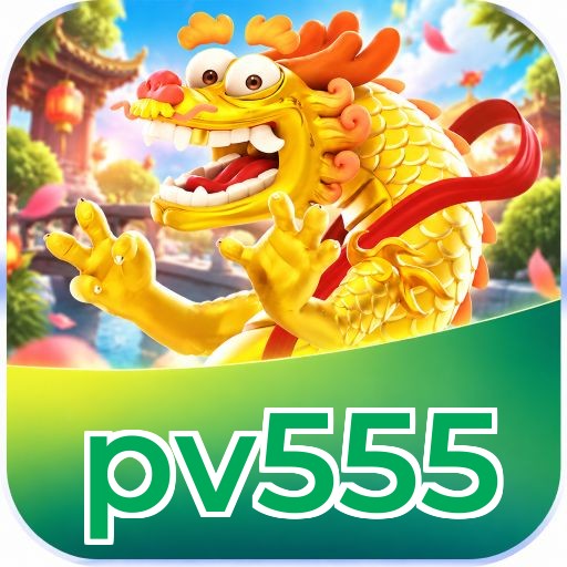 pv555 Plataforma FAQ